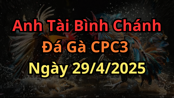 Hành Trình Đăng Cai Giải Đá Gà CPC3 Ngày 29/4/2025