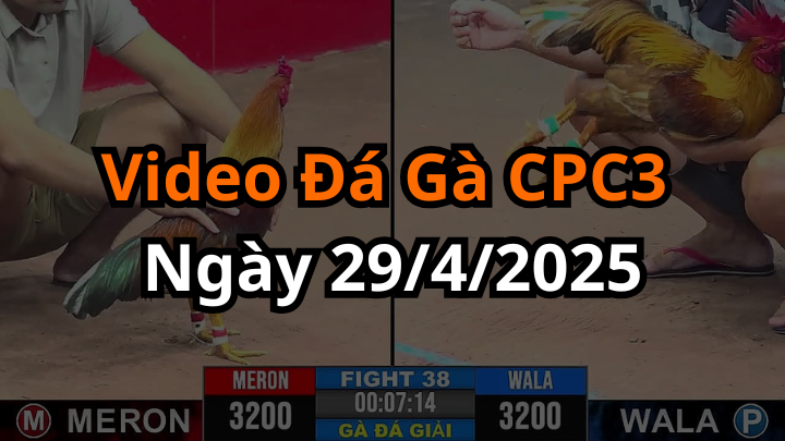 Siêu Cúp Vô Địch CPC3 Ngày 29/3/2025 Mới Nhất Hôm Nay