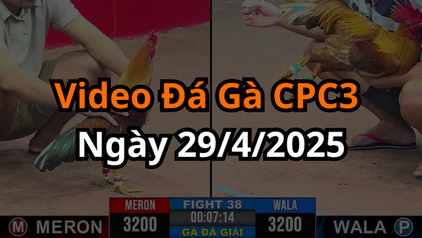 Siêu Cúp Vô Địch CPC3 Ngày 29/3/2025 Mới Nhất Hôm Nay